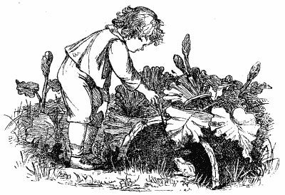 Cover of Wood Magic: A Fable by Richard Jefferies